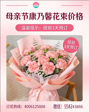 湘潭湘乡市花店母亲节康乃馨花束