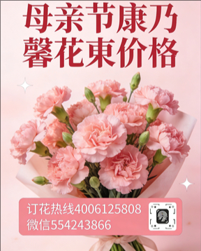 湘潭湘乡市花店母亲节康乃馨花束